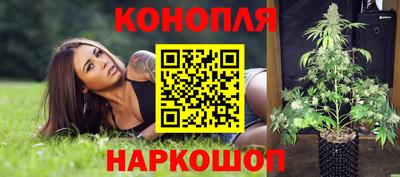 мдпв Гатчина