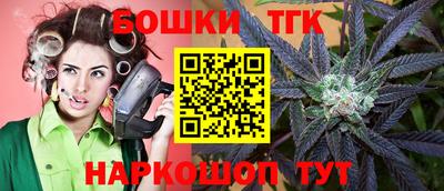 мдпв Гатчина