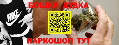 мдпв Гатчина