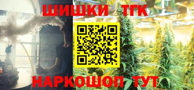 тгк Гай