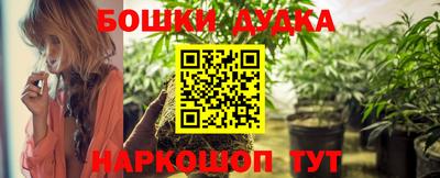 мдпв Гатчина