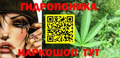 тгк Гай