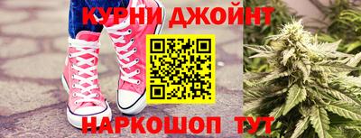 гидра Гагарин