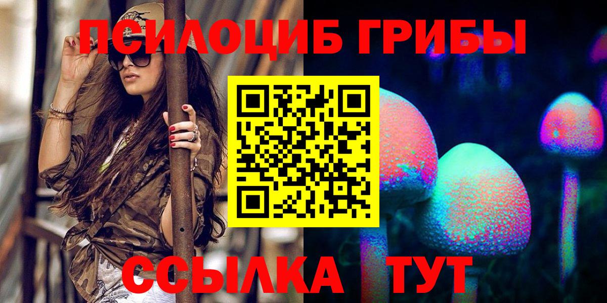 Минусинск  Псилоцибиновые грибы прущие грибы  Вход с VPN 